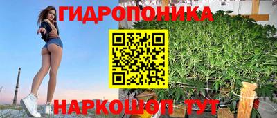 сатива Кандалакша