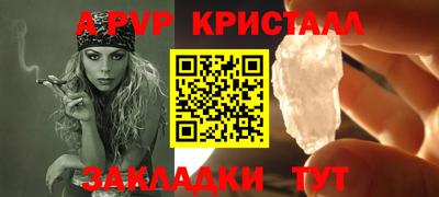 шишки Кимры