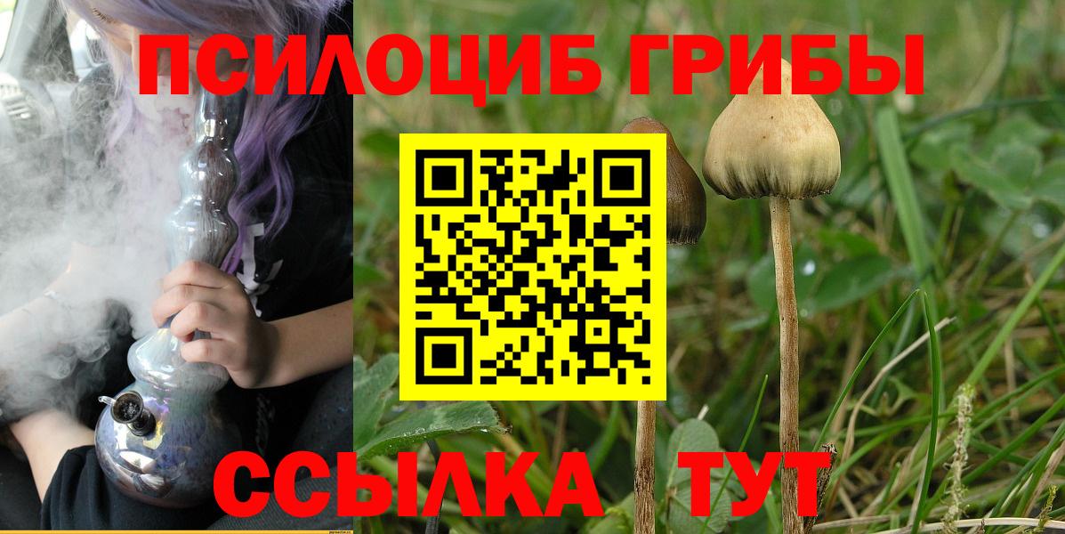 Каменка  Галлюциногенные грибы мухоморы  Вход с VPN 